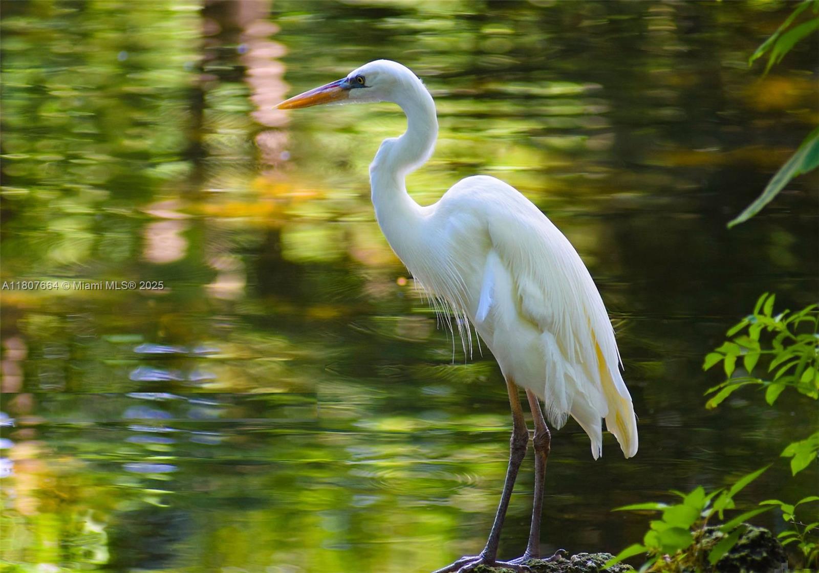 Port Charlotte Sec 31 - Land