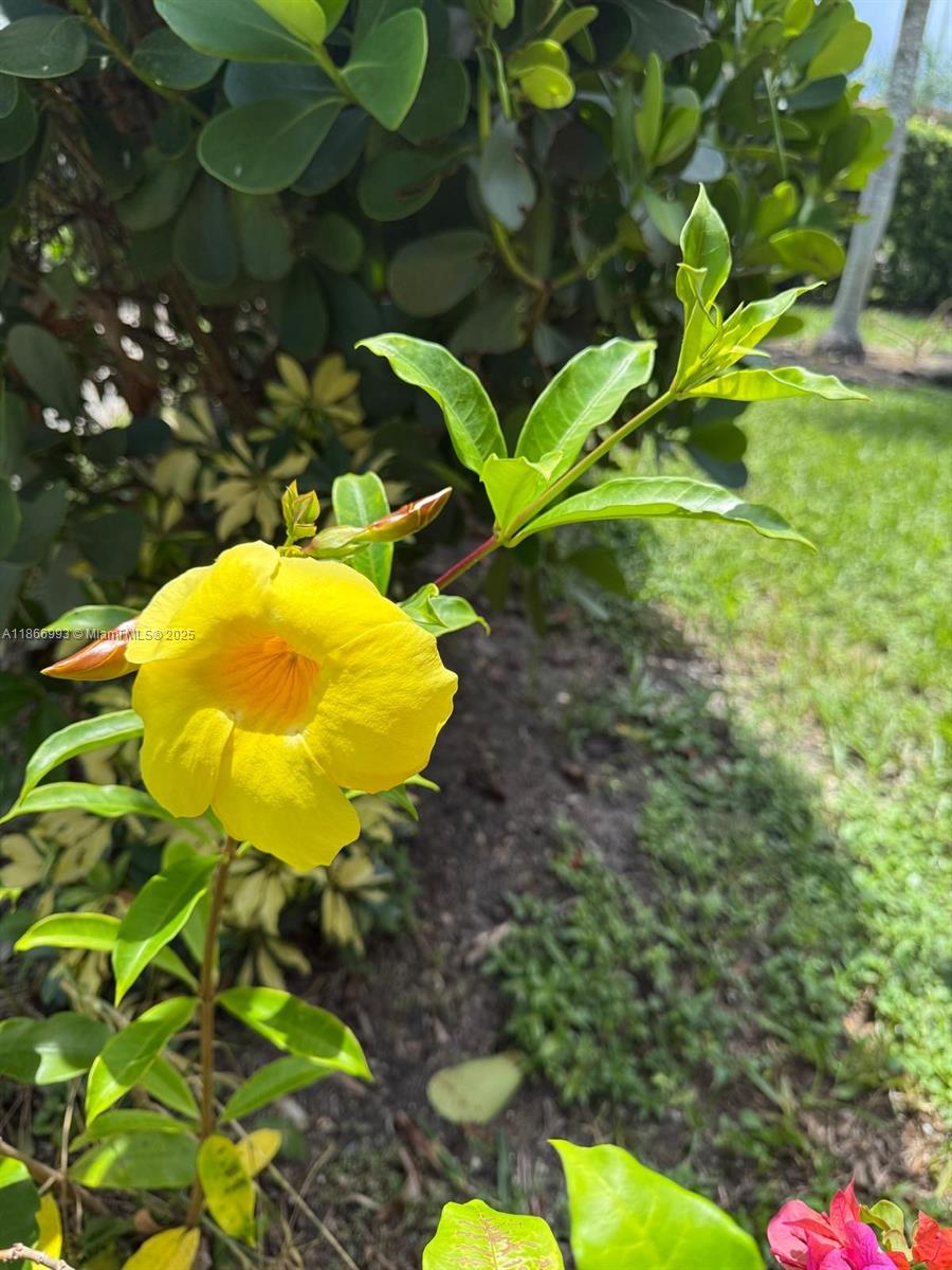 ST JAMES PARK SECOND ADD - Residential Lease