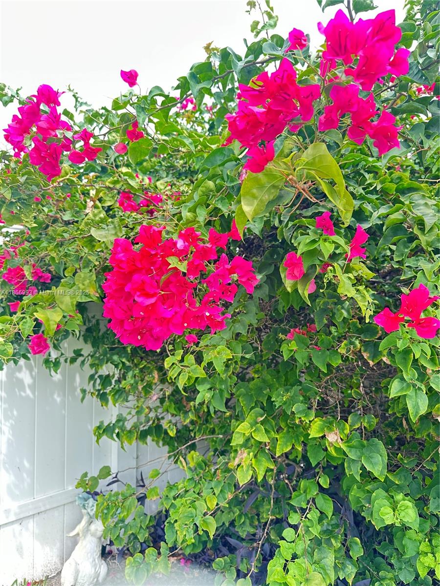 ST JAMES PARK SECOND ADD - Residential Lease