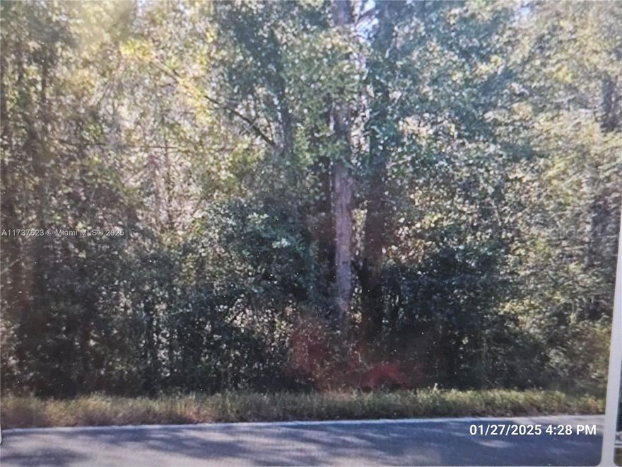 Build your Dream Home in this 1.04 acre lot zoned residential with a pond, located in Hawthorne, Florida. Filled with charm and ready for quiet country living, this property is centrally located 30 minutes from Gainesville and 30 minutes from Ocala. Minutes away from the Putman County Fire Rescue Station. Paved roads and electricity poles already installed. Much more! Won't last!