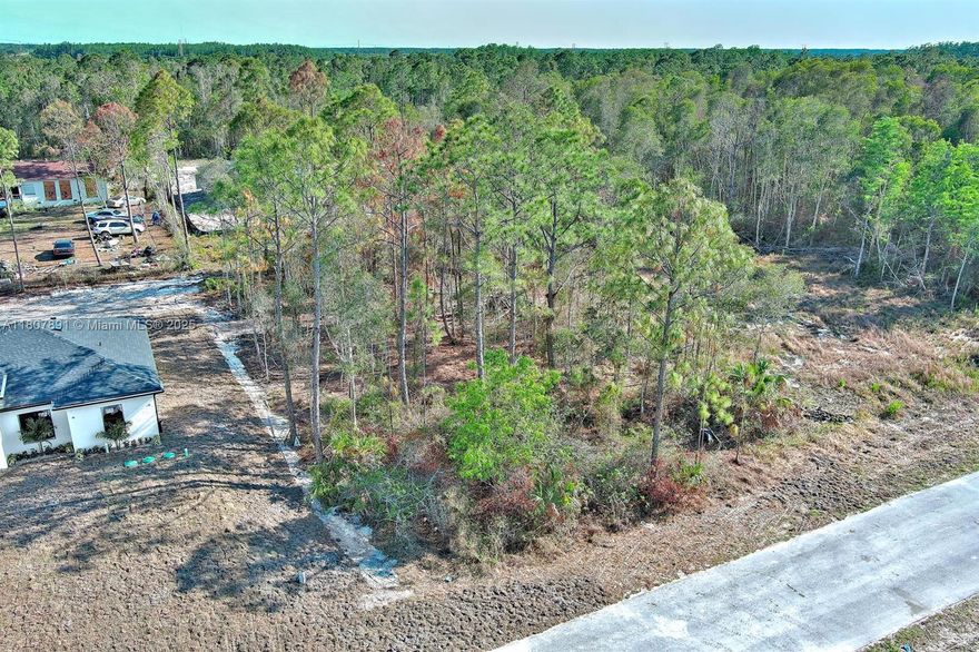 Exclusively presented by Sunland Real Estate: This is an excellent opportunity to build your dream home in this quiet area not far from the Mirror Lake Golf Course and the East Lee County High School, with easy access to all Amenities. Just south is SR-82, which takes you to I-75 and RSW International Airport, Fort Myers, Beaches, and Sanibel/Captiva Island. I-76 north takes you to Tampa and Orlando.
