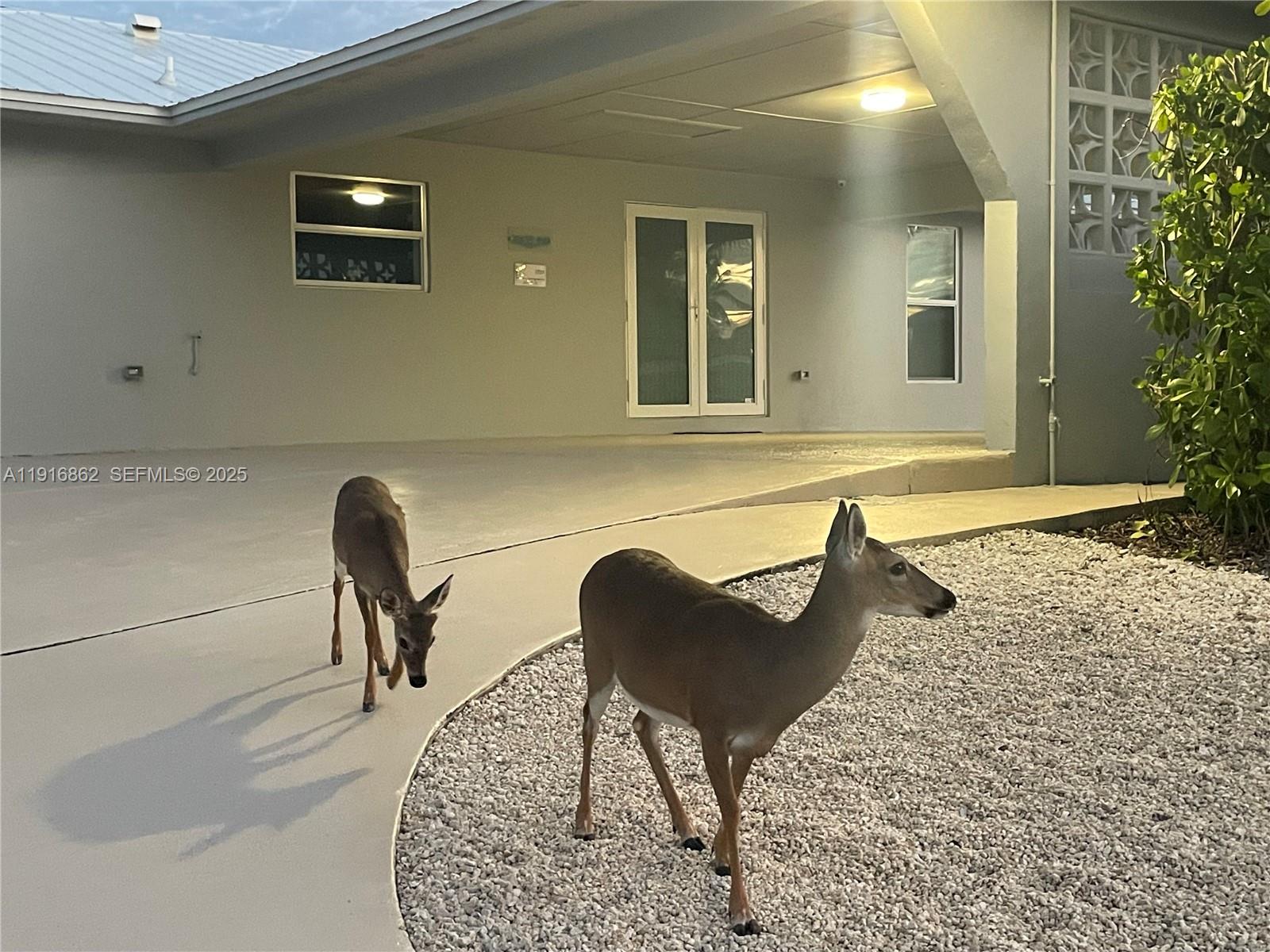 TROPICAL BAY - Residential