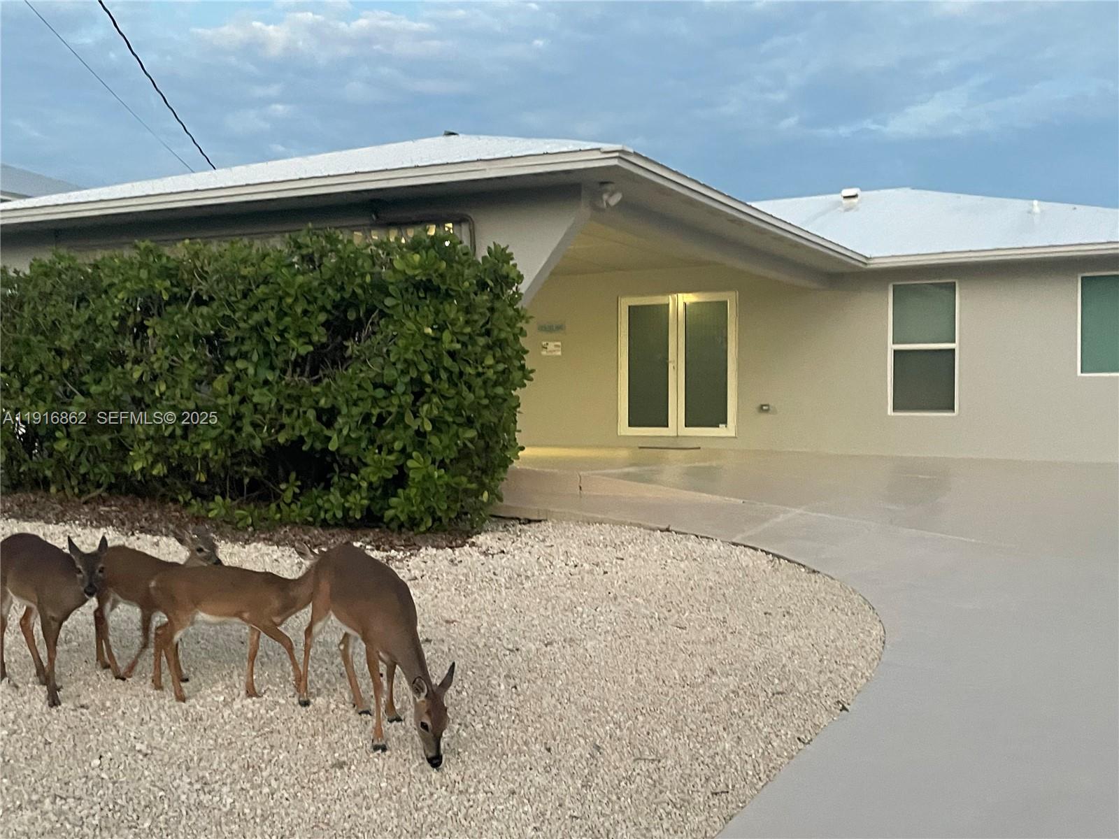 TROPICAL BAY - Residential