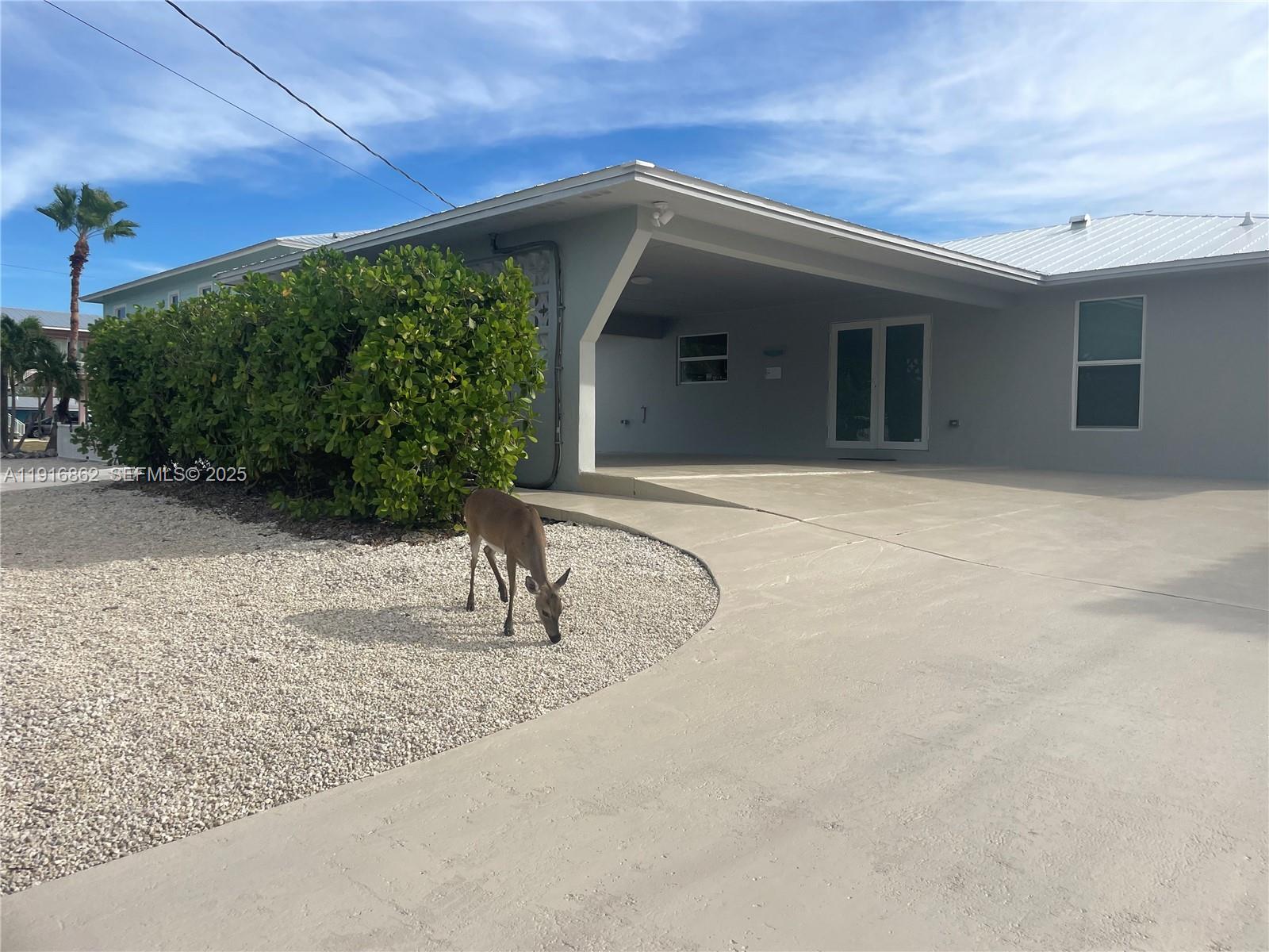 TROPICAL BAY - Residential