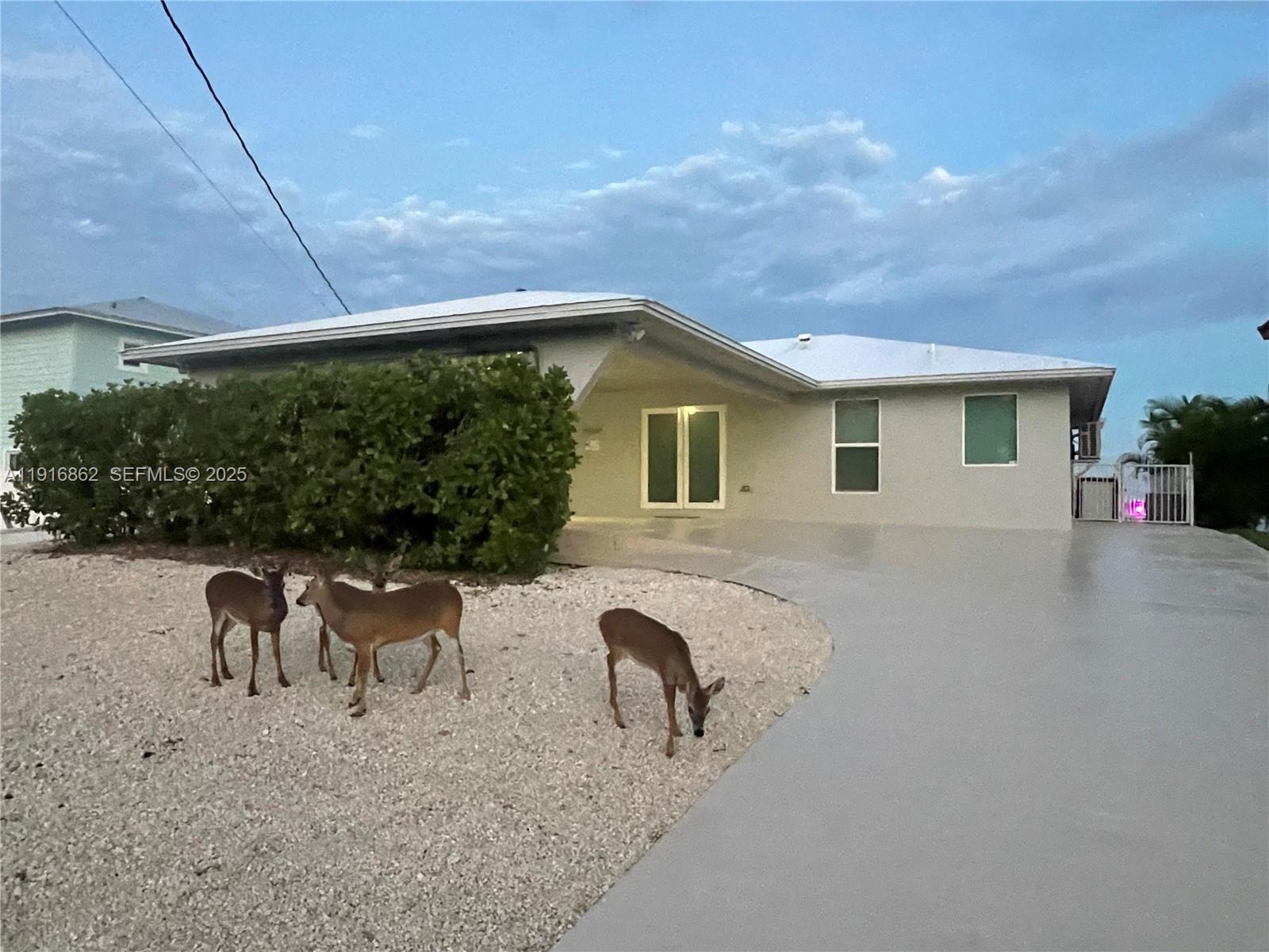 TROPICAL BAY - Residential