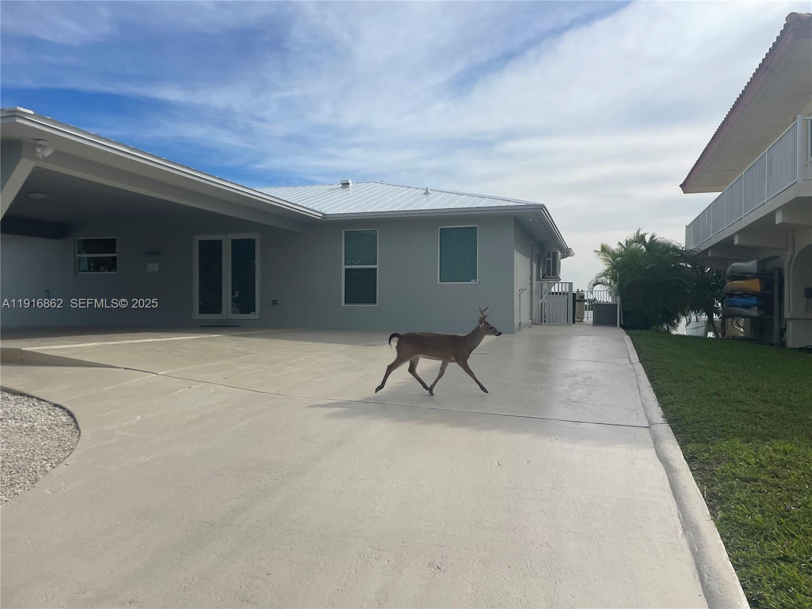 TROPICAL BAY - Residential