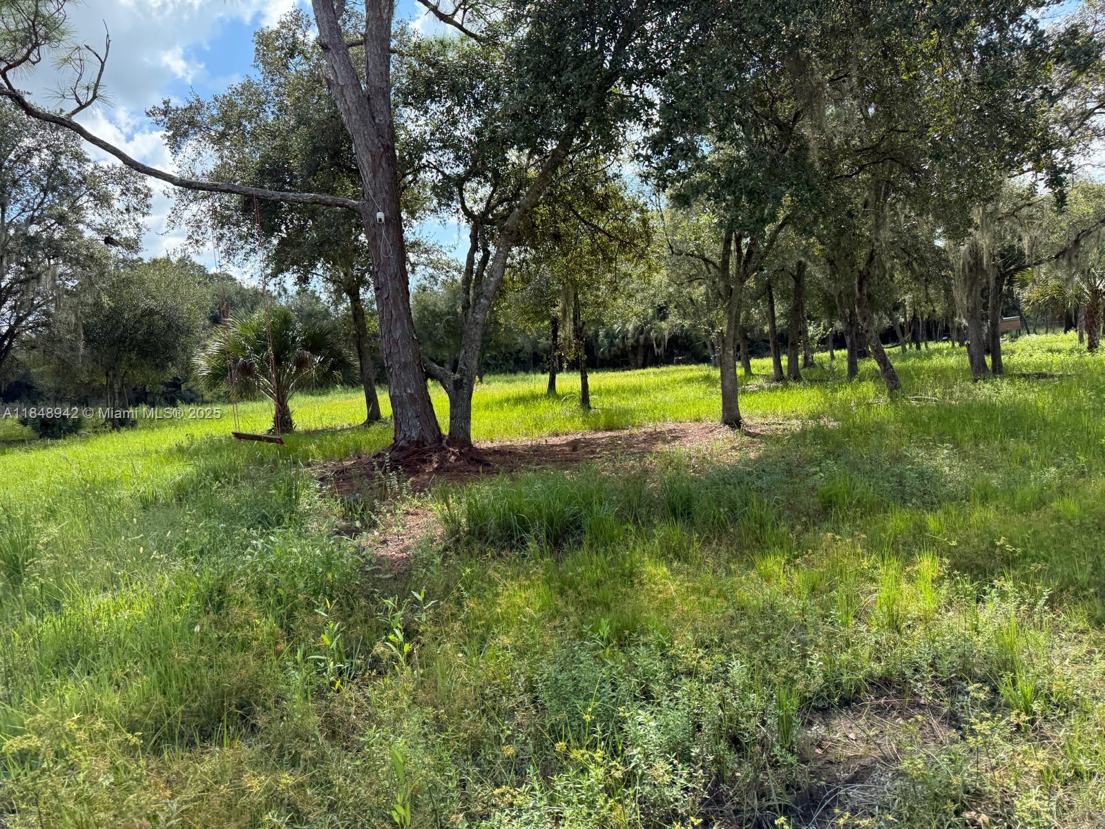 montura ranch estate 1 st - Land