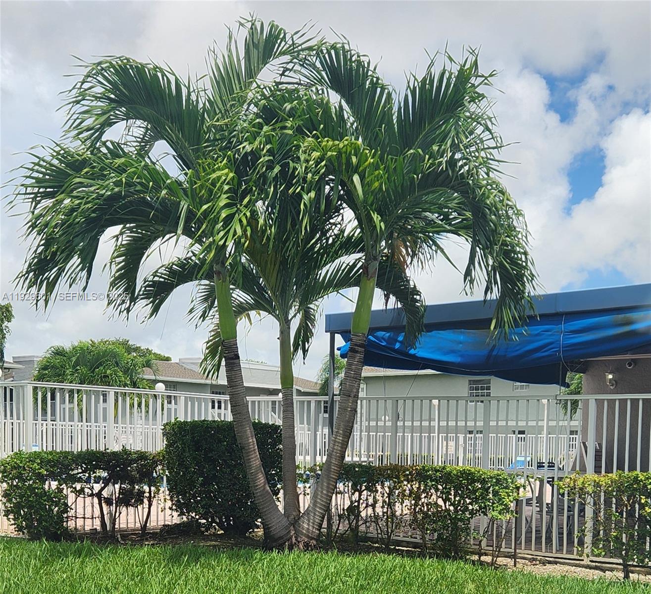 MONTEREY VILLAGE-TWO COND - Residential