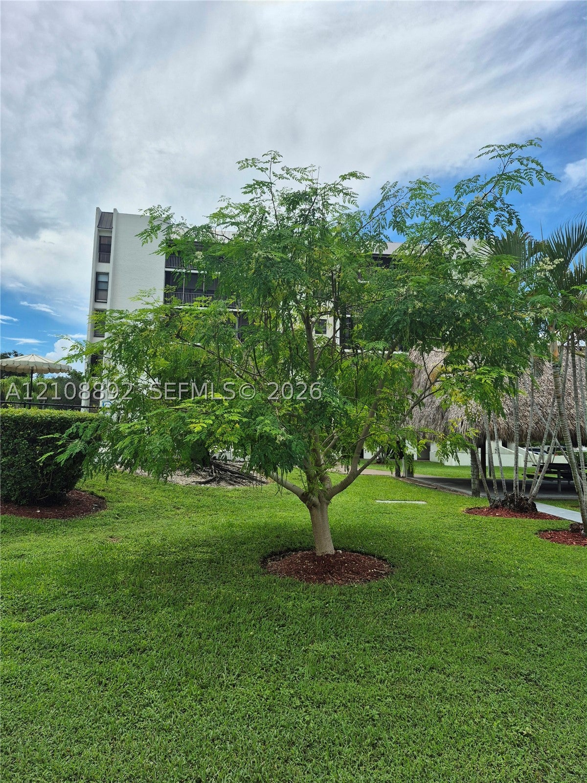 14201 SW 66th St 4024, Miami FL 33183
