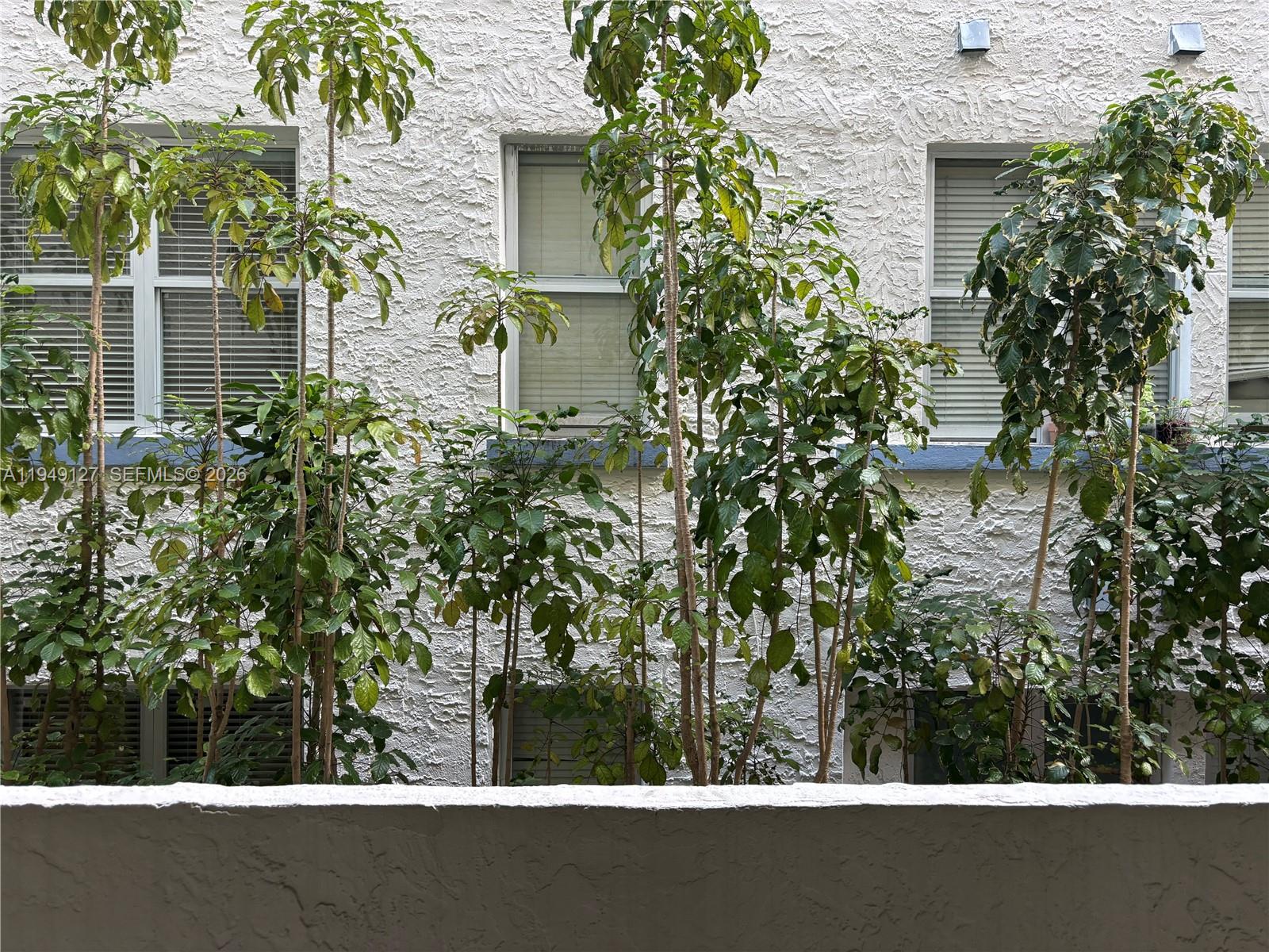 MERIDIAN PLAZA ASSOCIATION - Residential