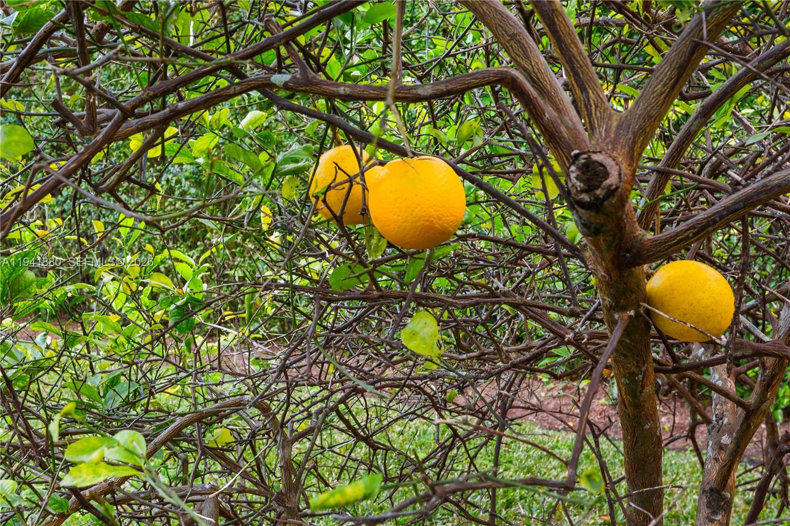 CORAL GABLES SEC E - Residential