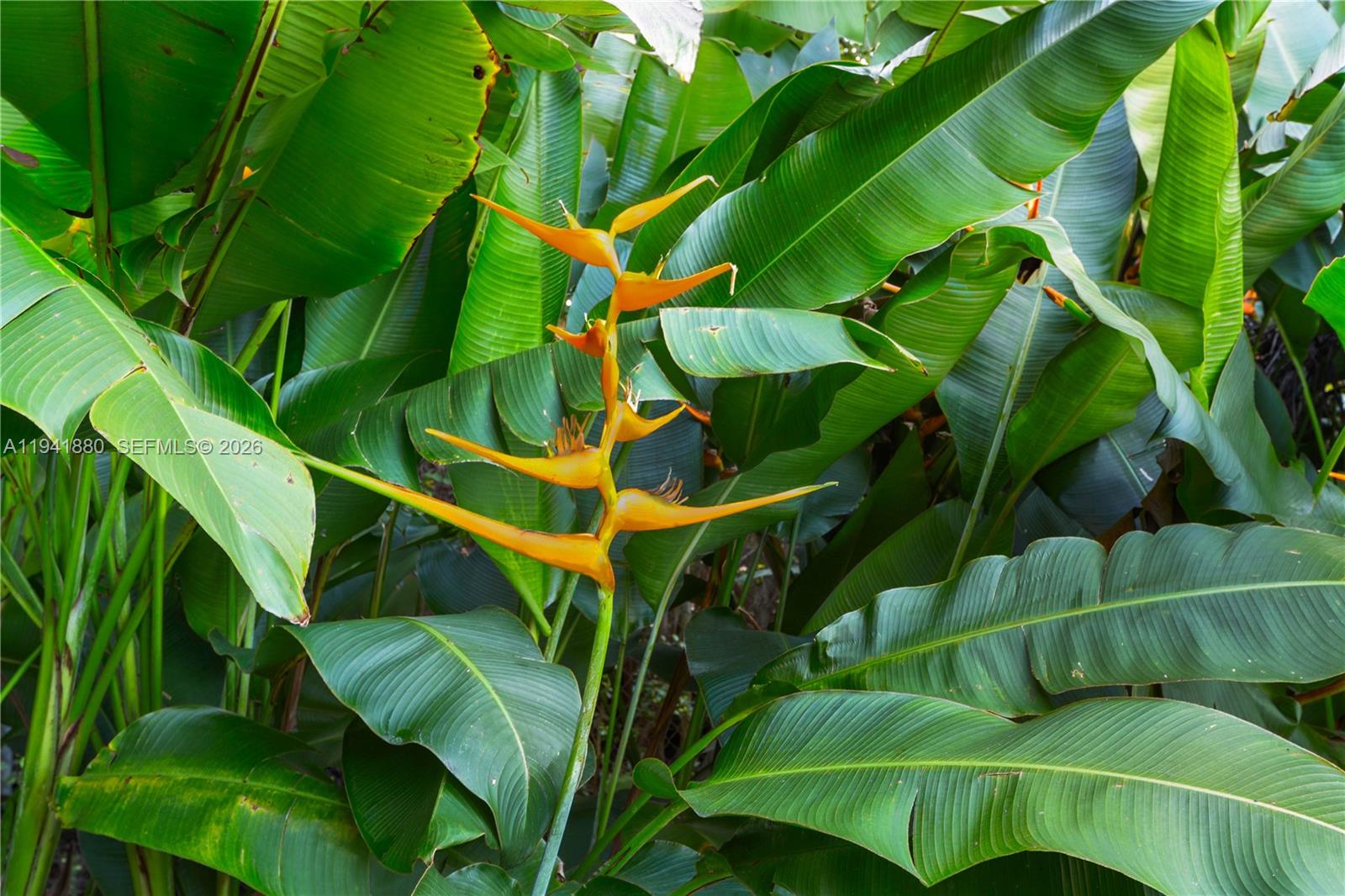 CORAL GABLES SEC E - Residential