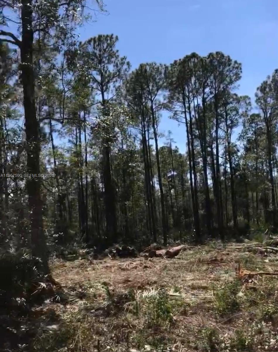 Paradise Lakes - Land