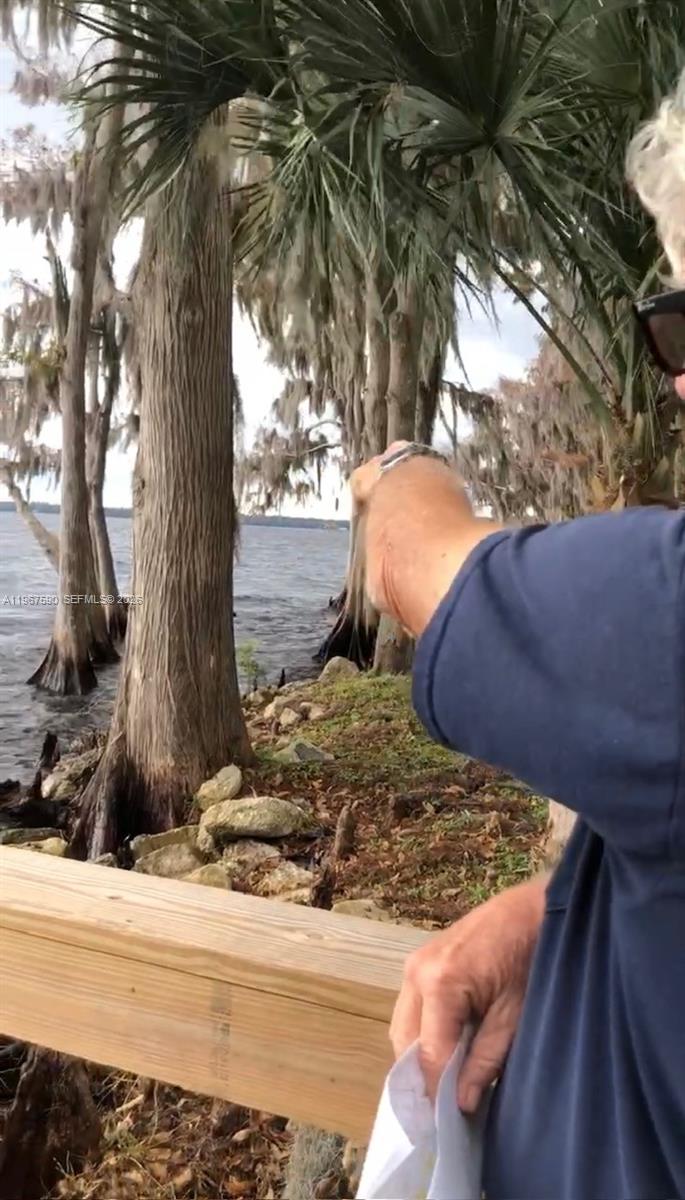 Paradise Lakes - Land