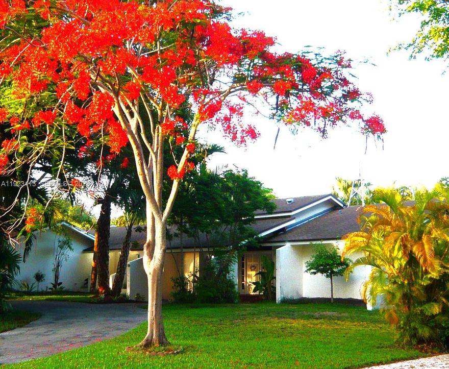 Pride of same owner since 1988 ...Spacious single story 4-bedrooms home in a great and tranquil neighborhood in Palmetto Bay. House has 6 feet elevation from the street... 11 feet from sea level. House has great bones but in need of your personal taste updating! Double pane ANDERSON impact windows. Double entry doors ,3 newer AC units. The Roof was done in 2016 with the best wood and double liner. Screened Patio and lush Landscaping make this house great for outdoor entertaining! Seller is motivated!!