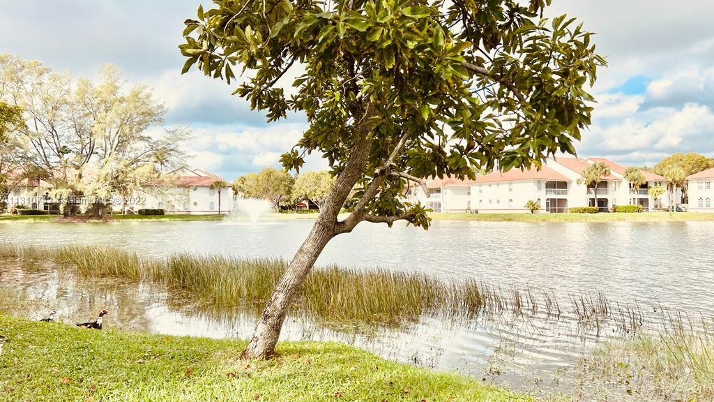 Cypress Point - Residential Lease