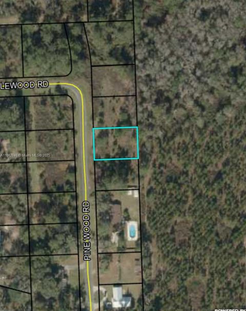 649 PINE WOOD RD Other FL 32052
