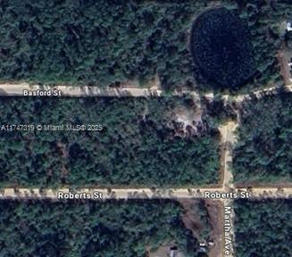GREAT INVESTMENT OPPORTUNITY. BUILD YOUR DREAM HOUSE. 12 MORE LOTS AVAILABLE FOR SALE NEARBY. ALL INFORMATION FROM THE SELLER AND MUST BE VERIFIED BY THE BUYER!