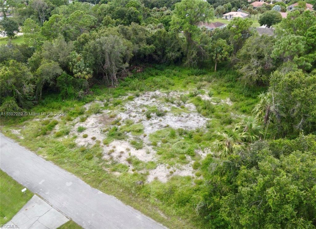 LEHIGH ACRES - Land