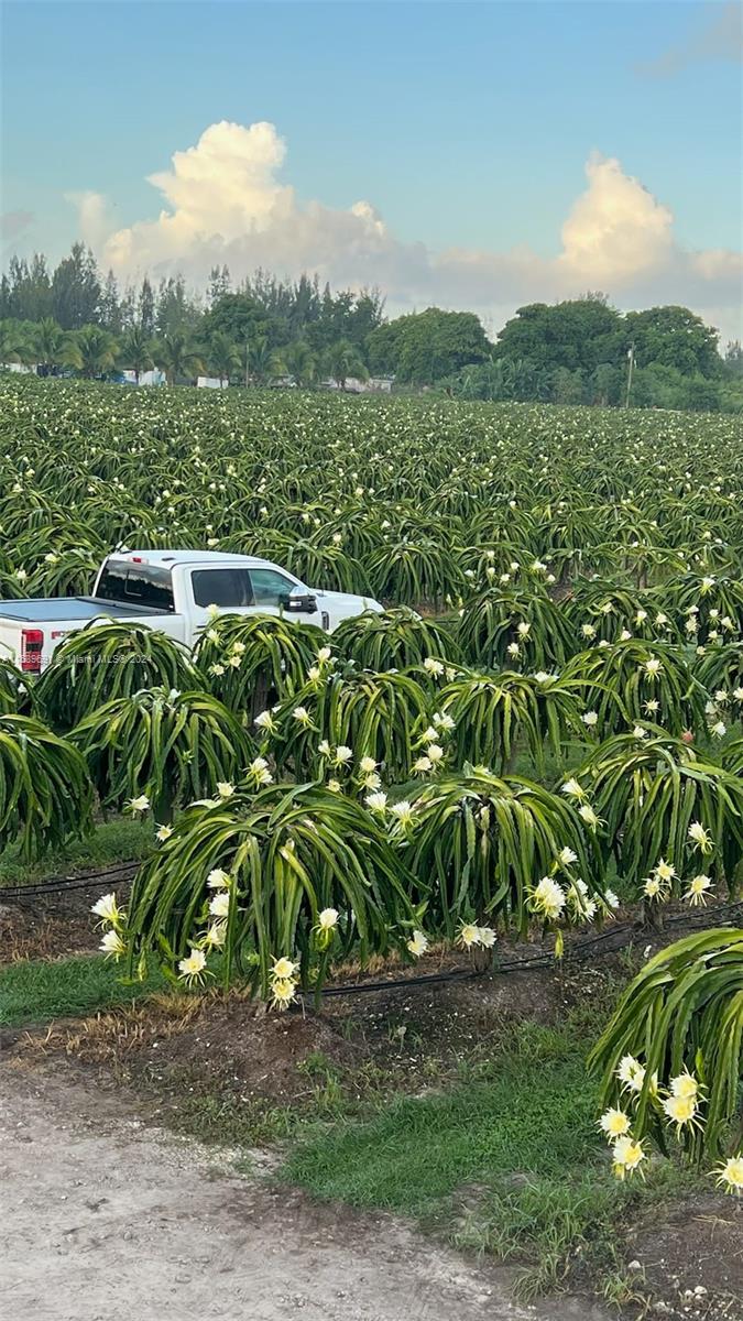 Excellent Commercial/agricultural Opportunity with great potential in other business areas, 10-acre land Excellent for lucrative purposes as a parking lot for trucks. The demand for parking for trucks and heavy equipment increases daily due to the parking shortage in the city for such equipment and machinery, this land is strategically located in the main southwest area of Miami. These 10 acres offer several investment opportunities with its large surface area, as well as a hatchery and greenhouse for plants of all types including the lucrative Hemp business, it is also useful for storage and warehouse facility, the commercial transportation business activity of Miami Dade and has experienced notable growth, reflecting the region's vibrant economic landscape and growing opportunities.