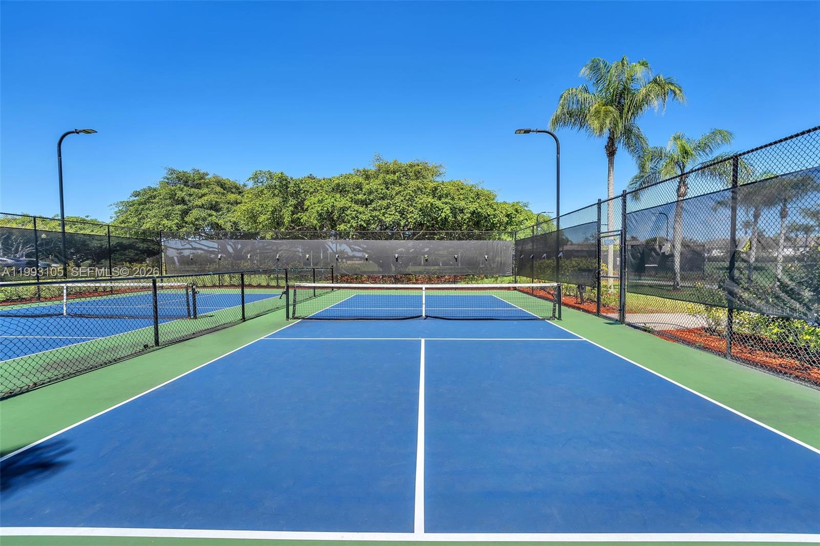 Altamira Castellon Collect - Residential Lease