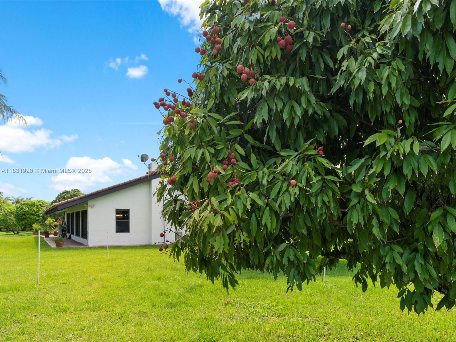 Redlands - Residential