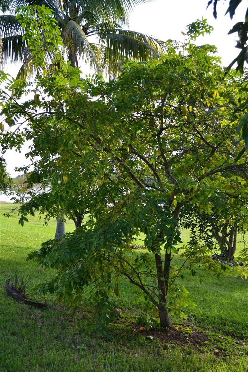 LAKES BY THE BAY DAY - Residential Lease