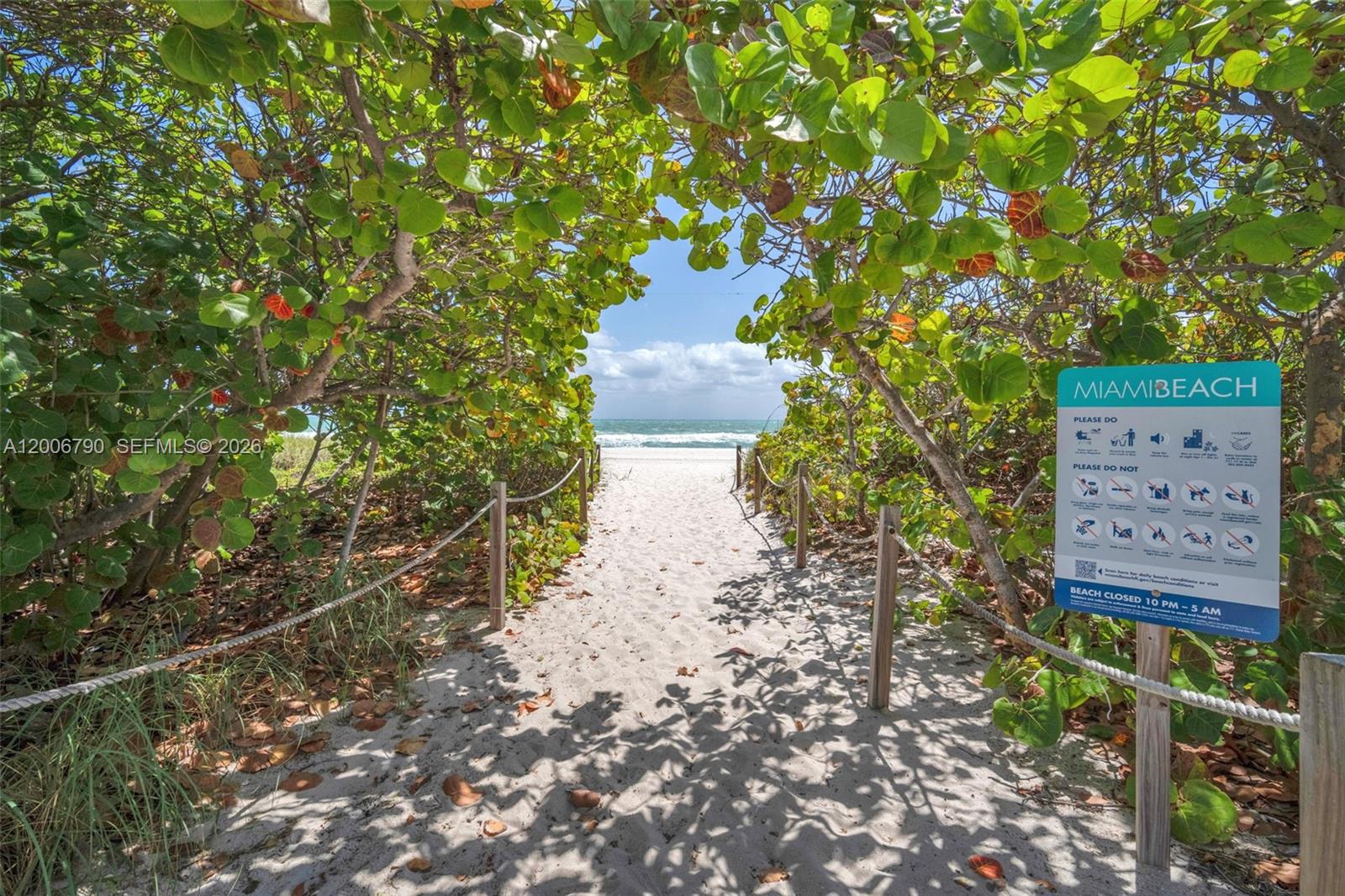 5313 Collins Ave 204