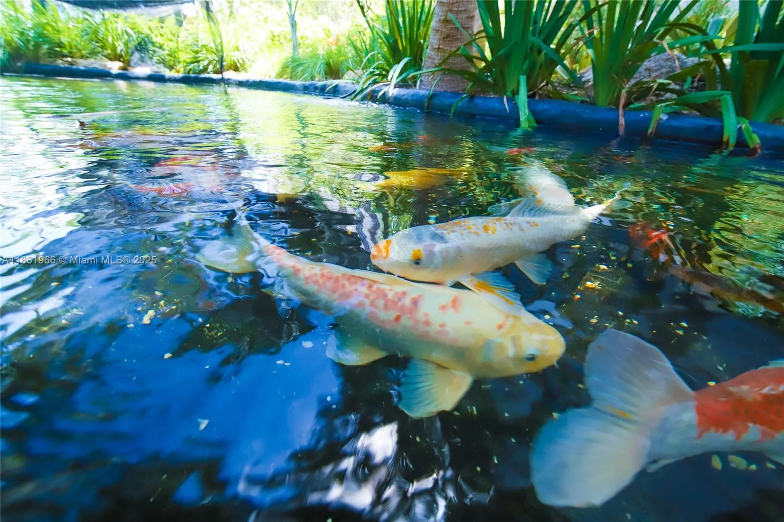 Key Biscayne, Florida 33149, United States, 2 Bedrooms Bedrooms, ,2 BathroomsBathrooms,Residential,Active,197392