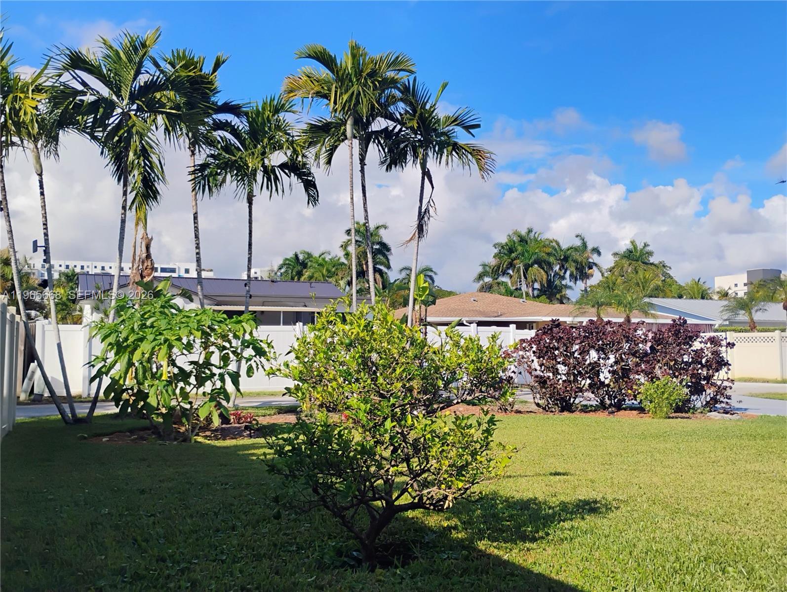 BELLE DANIA RESUB - Residential