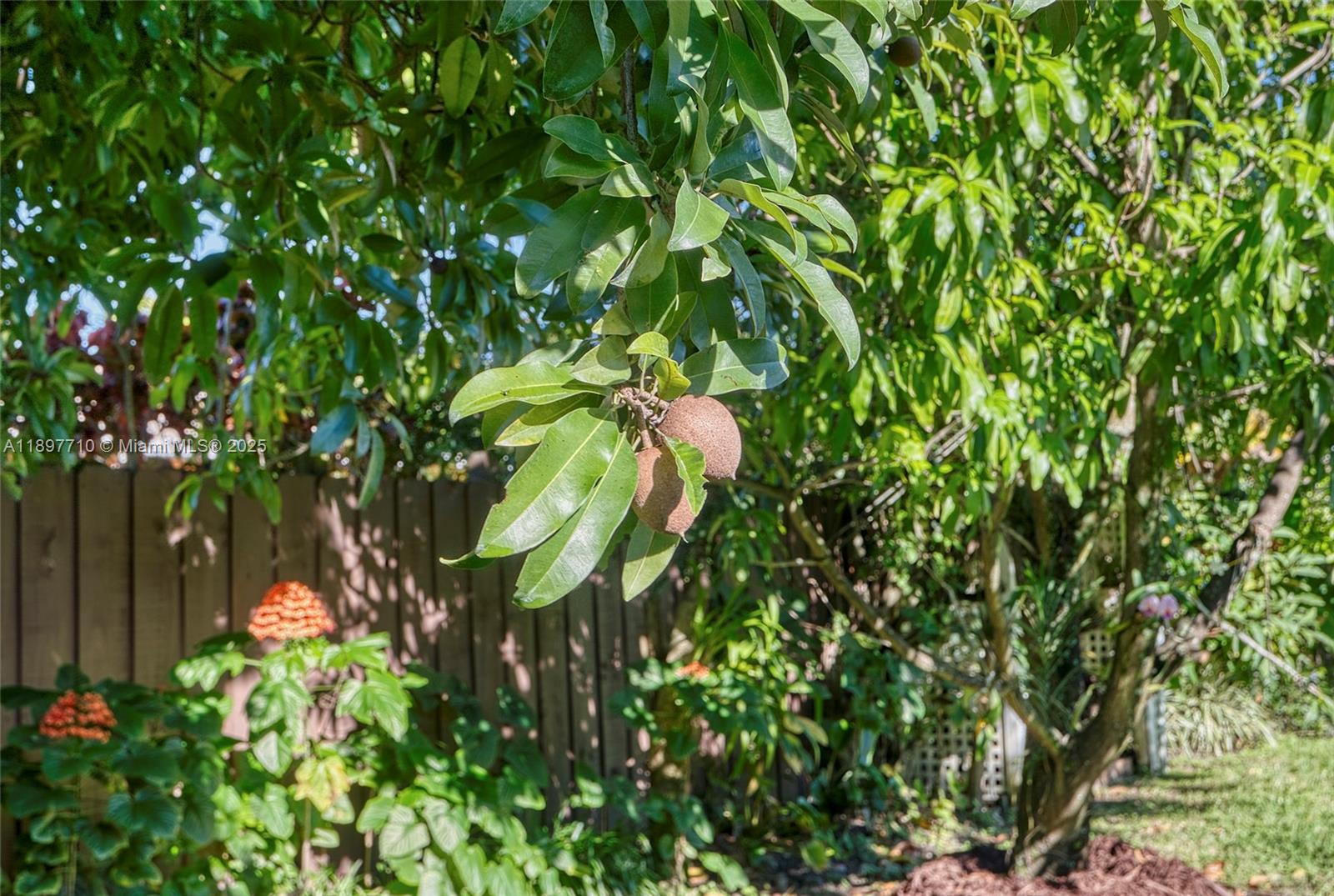 ESTATE HOMES FIRST ADDITI - Residential