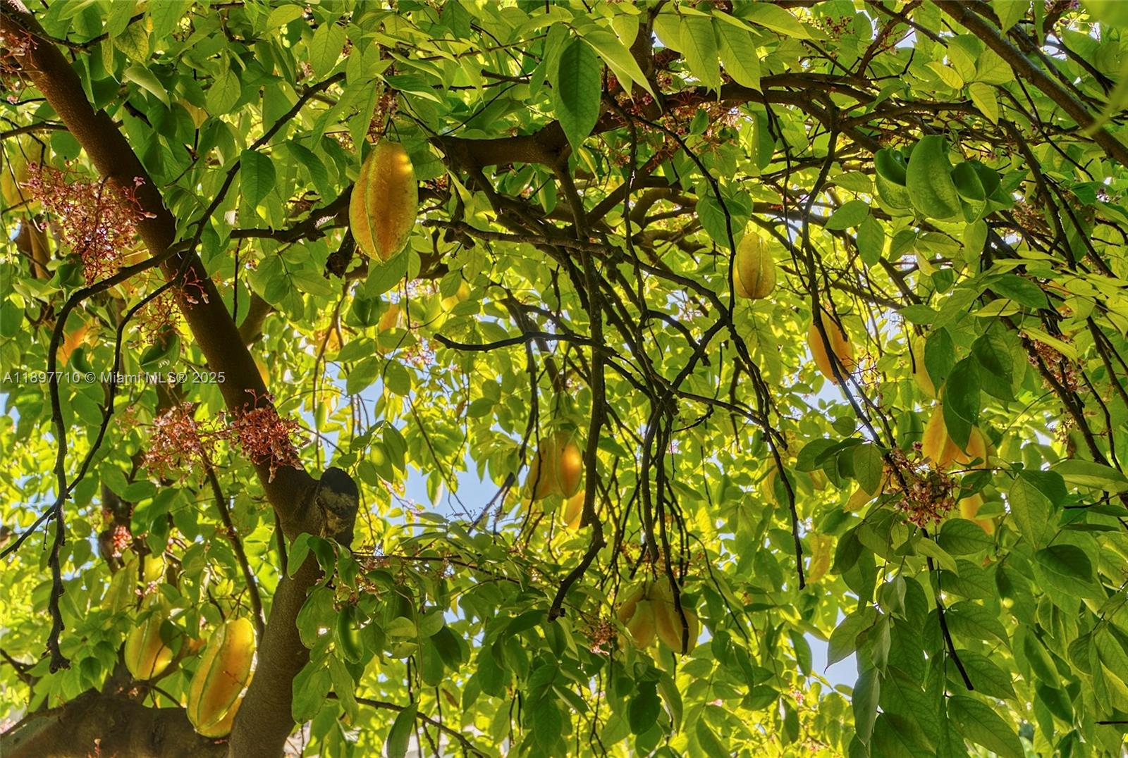 ESTATE HOMES FIRST ADDITI - Residential