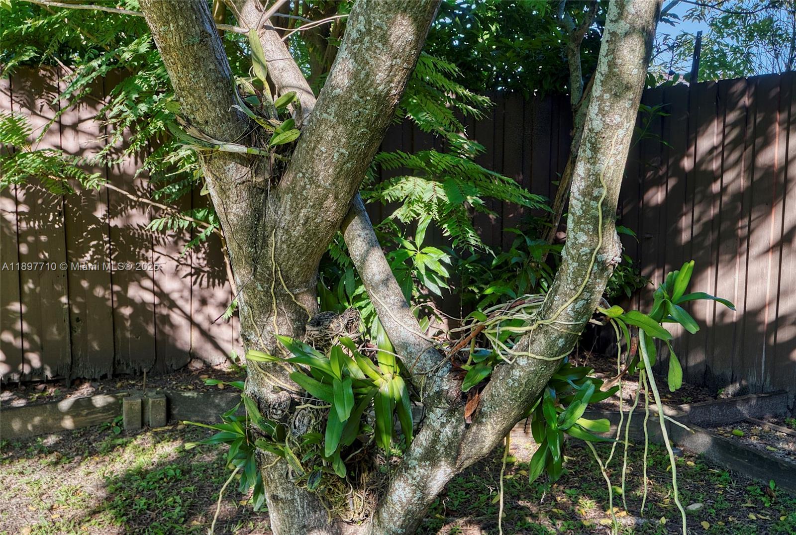 ESTATE HOMES FIRST ADDITI - Residential