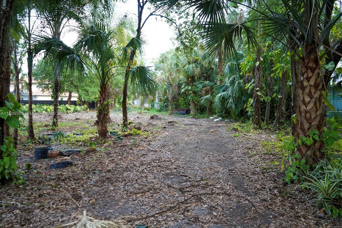 Caloosa Hammock - Land