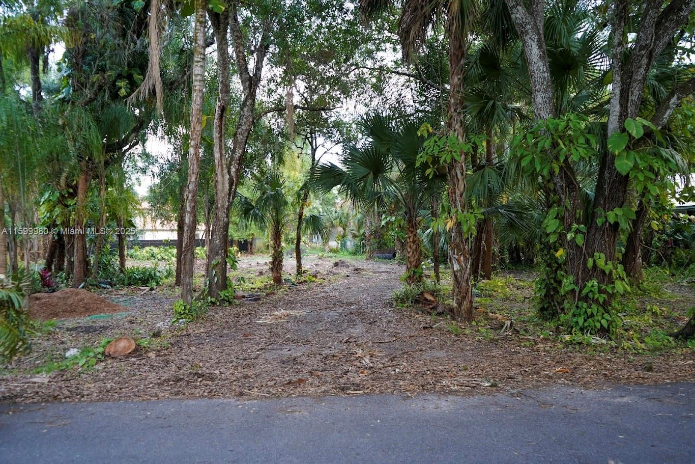 Caloosa Hammock - Land