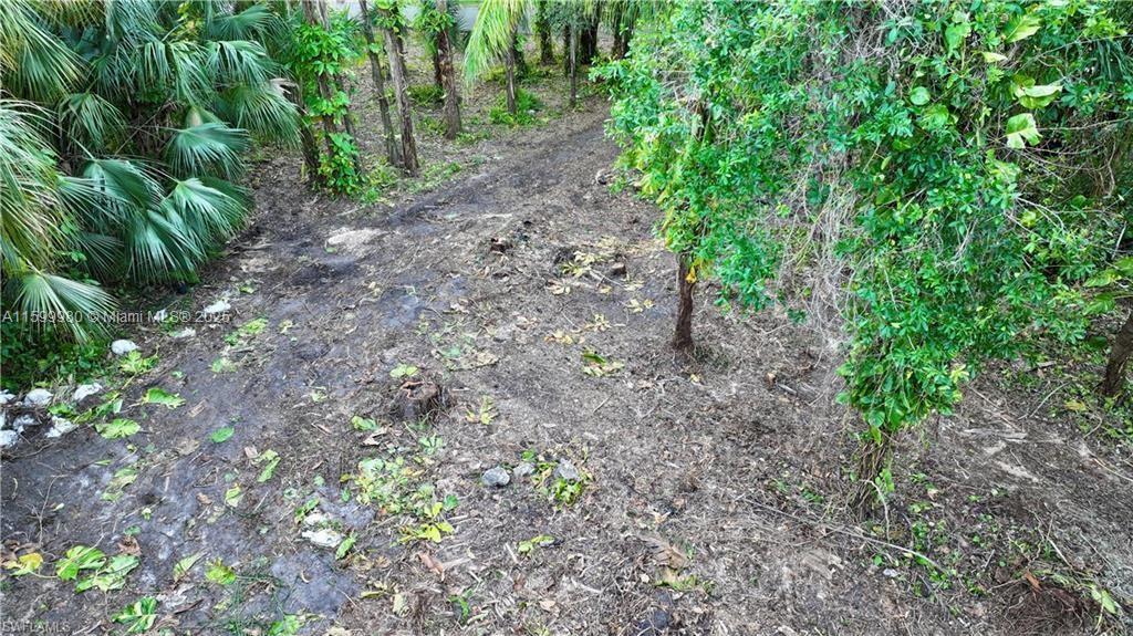 Caloosa Hammock - Land