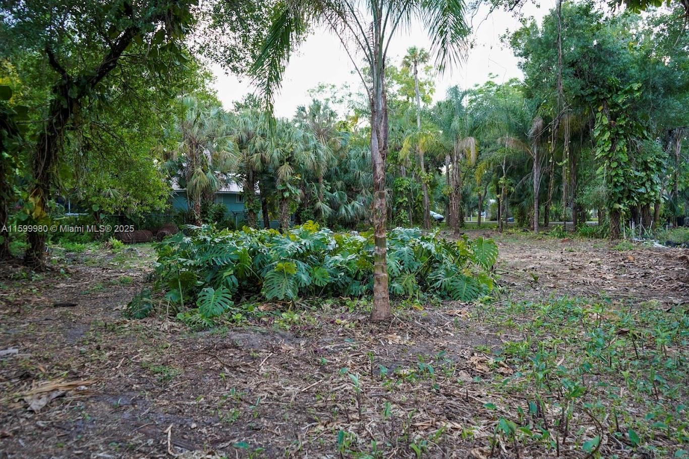 LANDSCAPED BY NATURE! Tucked away on serene Caloosa Drive, a quiet, dead-end, private, paved street just off of Captain Hendry Drive on the west outskirts of the City of LaBelle. This single family home site is just under a half acre with approximate dimensions of 100' x 175'. Lots require well and septic. There are no deed restrictions, but zoning regulations. The private road does not accommodate large vehicles but is perfect for walkers and bikers. Live city close with no city taxes and easy access to 4-laned SR 80 for work or play. If you love nature and are looking for a tranquil area, this could be the perfect place for you and your family!
