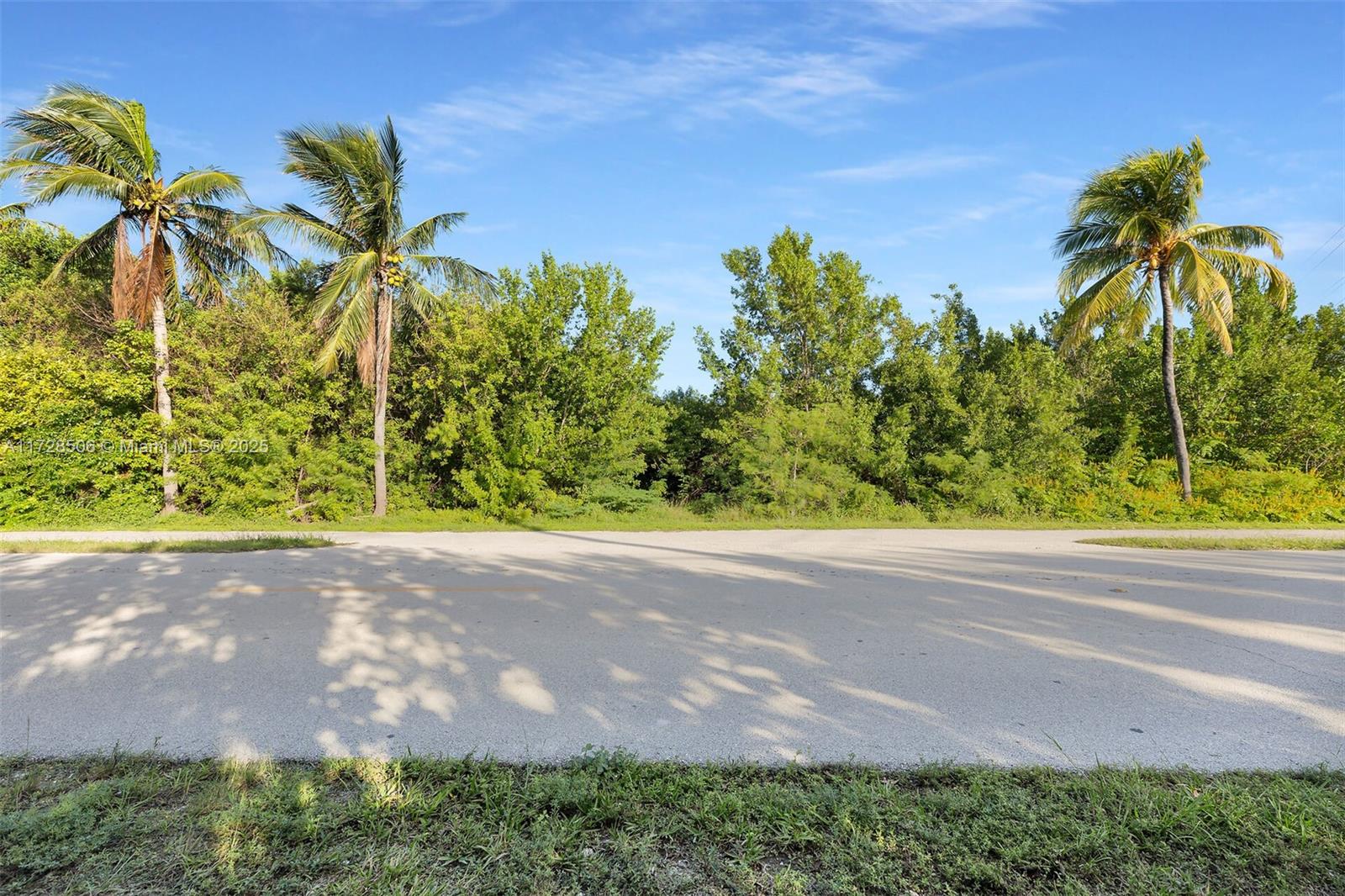 COCO PLUM BEACH - Land