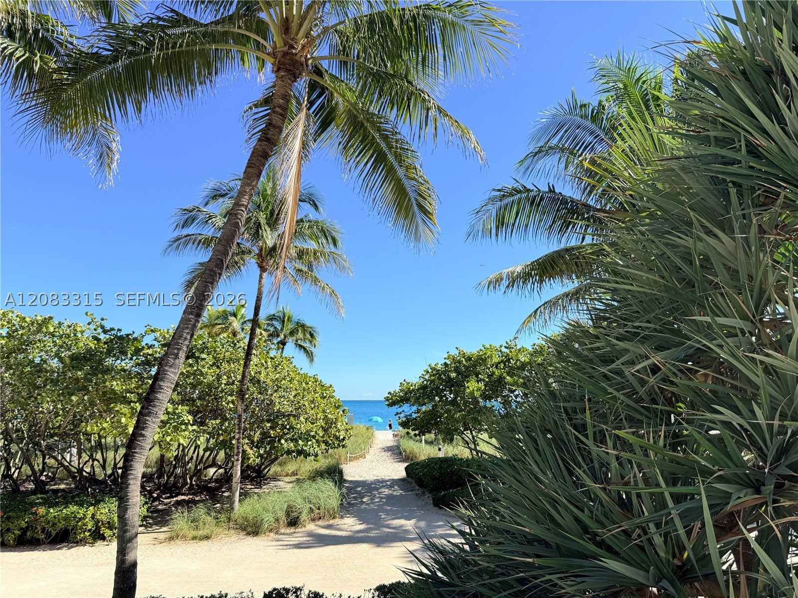 10185 E Collins Ave 822