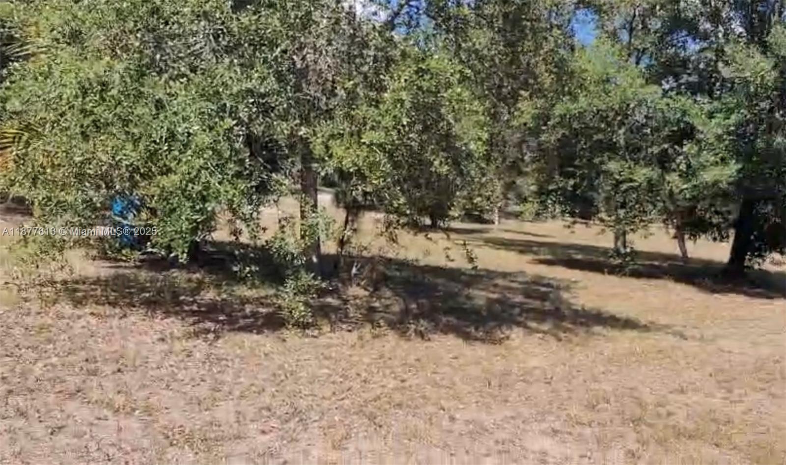 MONTURA RANCHES - Land