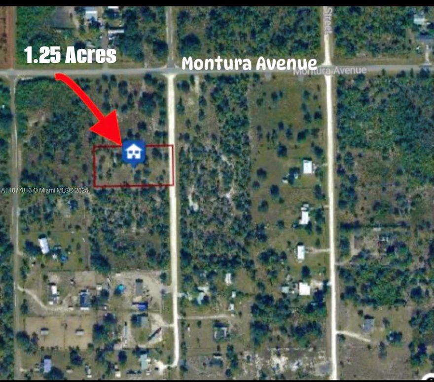 Great opportunity to build your dream home on this Montura Ranch Estates 1.25 acre lot. Cleared, fully fenced and on paved road plus a few feet from Montura Avenue. Power is only one lot away.. Perfect to also add a mobile home or have farm animals. Just 1 1/2 hours to Miami and 65 miles to Weston. Surrounded by homes and development. Community amenities include clubhouse, pool, parks, playground, and basketball courts. No HOA fees. Close to Lake Okeechobee, and Airglades Airport. Minutes to Walmart and shopping centers. Video available.