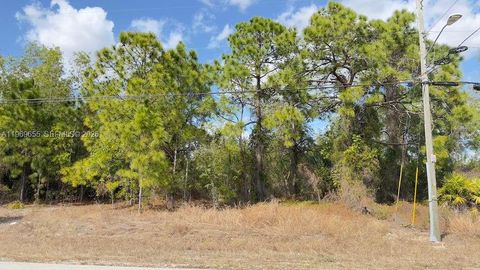 803 E Colyer St Lehigh Acres FL 33974