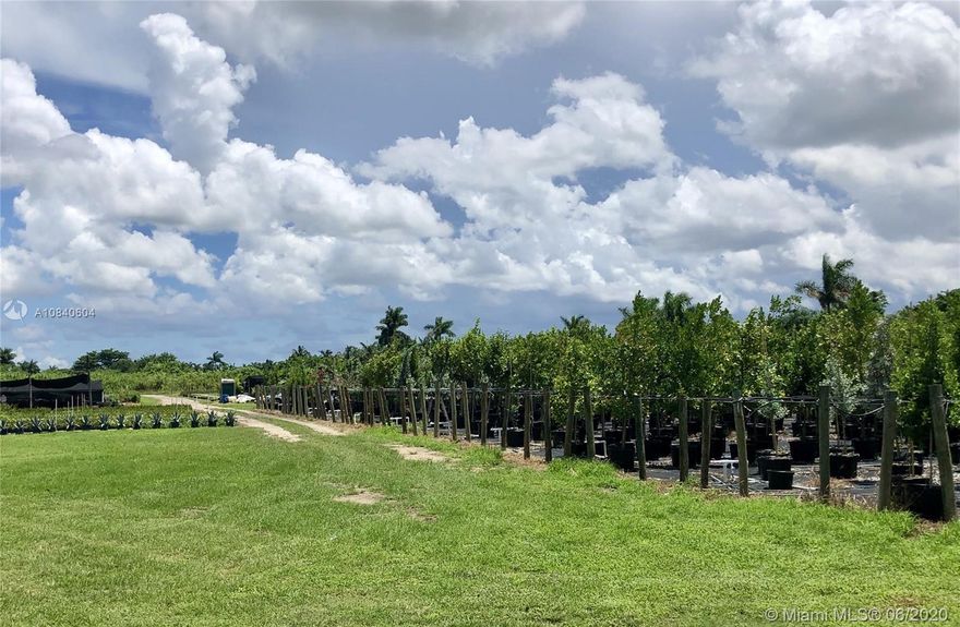 Unique Opportunity to purchase land outside the UDB (Urban Development Boundary) 5 Acres (217,800 sq.ft) just west of Krome Ave on SW 180 street, zoned GU. Excellent North Redland area to build your dream home, Nursery Business maybe both? Currently operating as a nursery business for the past three years. Property has electric, well water and fenced. Conveniently located close to West Kendall and Falls Shopping area.