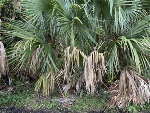 1019 SW Hamrock Ave Port St. Lucie FL 34953
