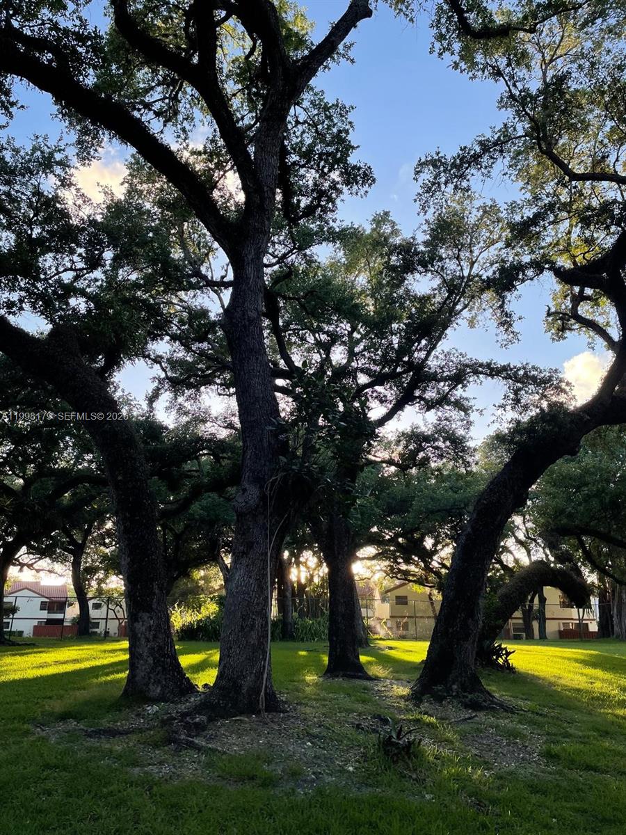 SUMMERTREE VILG CALIF CL - Residential Lease