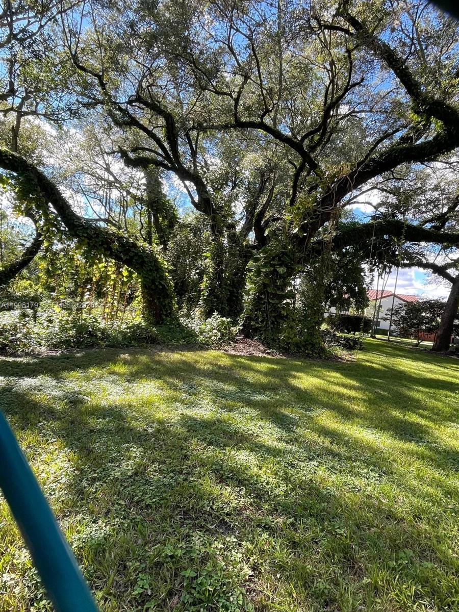 SUMMERTREE VILG CALIF CL - Residential Lease