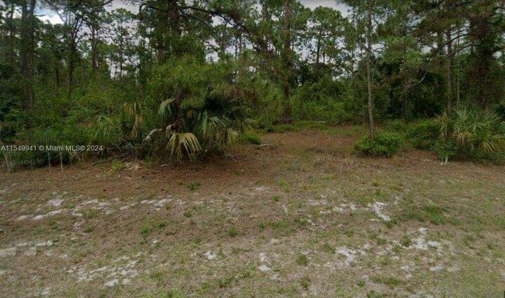 Build your dream home here. 0.5 acre homesite, located in a growing part of Lehigh Acres. Surrounded by newer homes and new construction. Seller willing to negotiate. Don't let this one get away. Make an offer today.