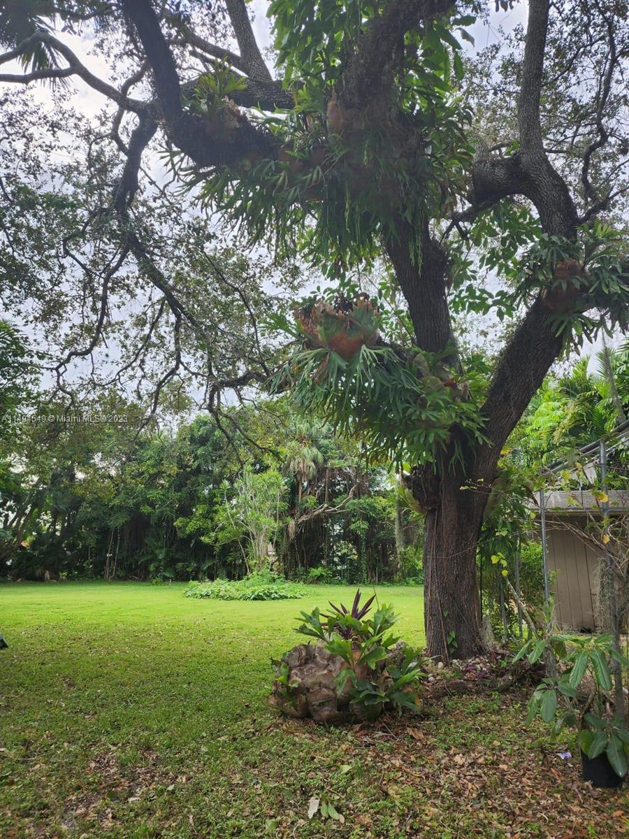 LA HAMACA - Residential