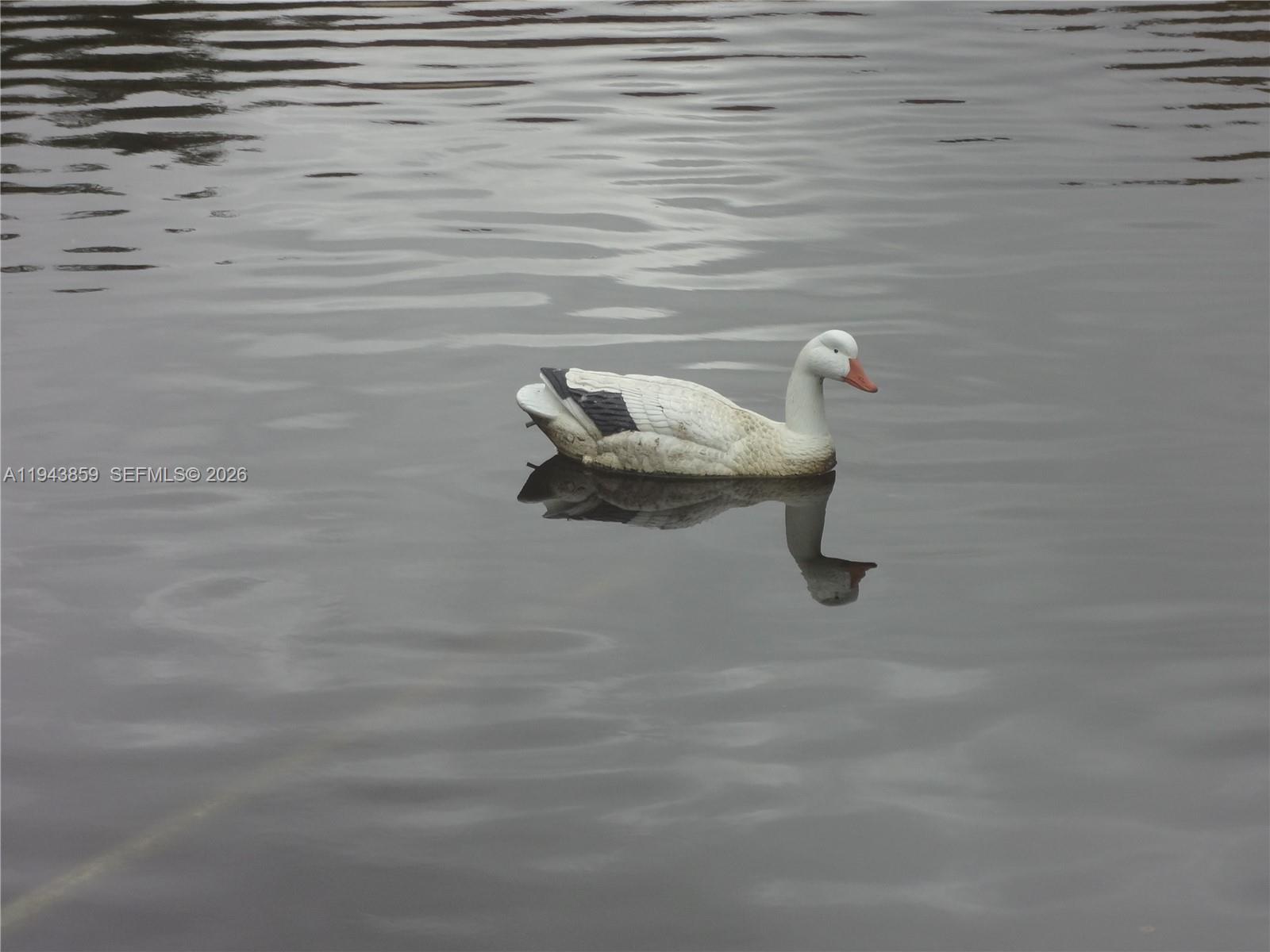 GRAND MARQUIS CONDO HOMES - Residential