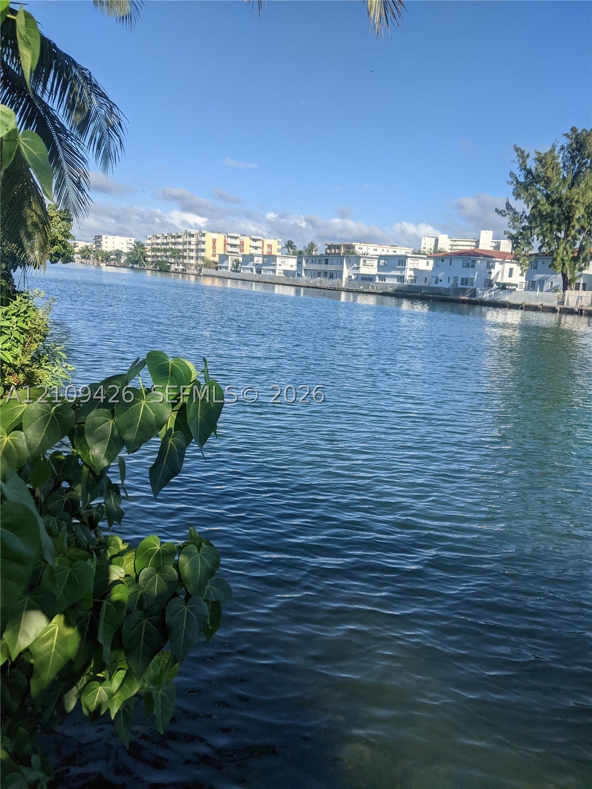7743 Hawthorne Ave Waterfront 1